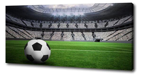 Tablou canvas Stadion de fotbal