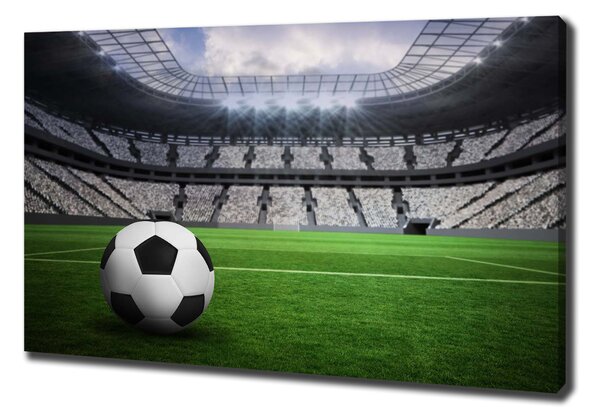 Tablou canvas Stadion de fotbal