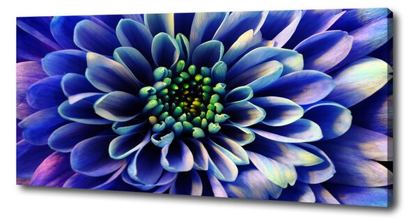 Tablou canvas Aster