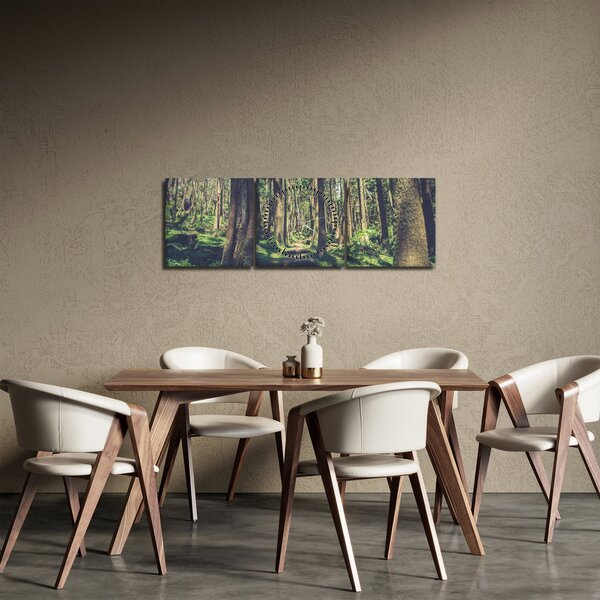 Tablou cu drum între copaci (cu ceas) (90x30 cm)
