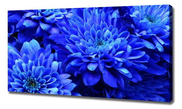 Tablou pe pânză Aster albastru