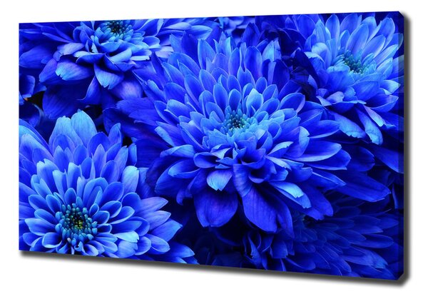 Tablou pe pânză Aster albastru