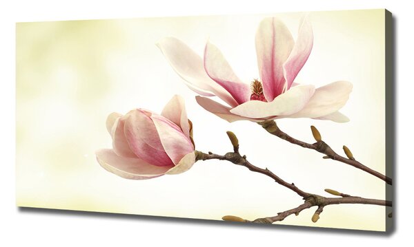 Tablou canvas Magnolie