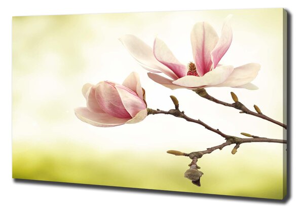 Tablou canvas Magnolie