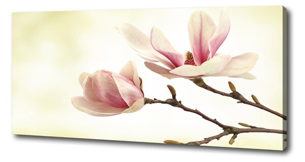Tablou canvas Magnolie