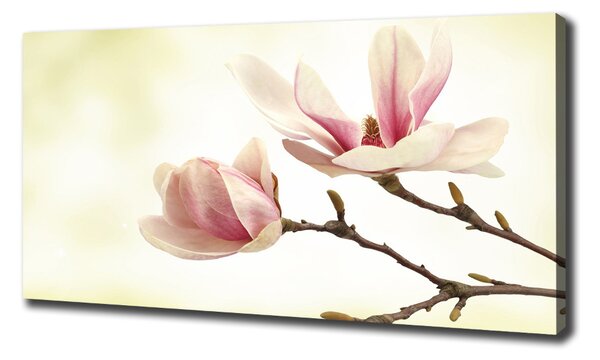 Tablou canvas Magnolie