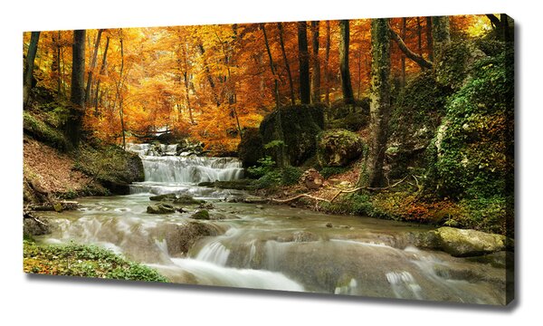 Pictură pe pânză Cascada din pădure