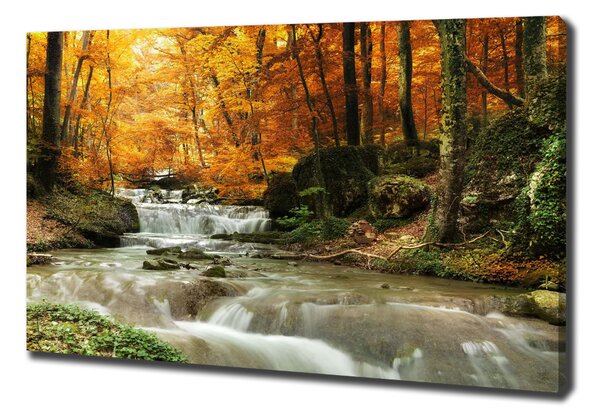Pictură pe pânză Cascada din pădure