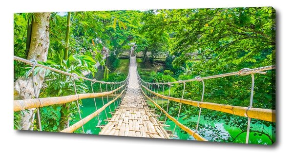 Tablou pe pânză canvas Cele mai multe pădure de bambus