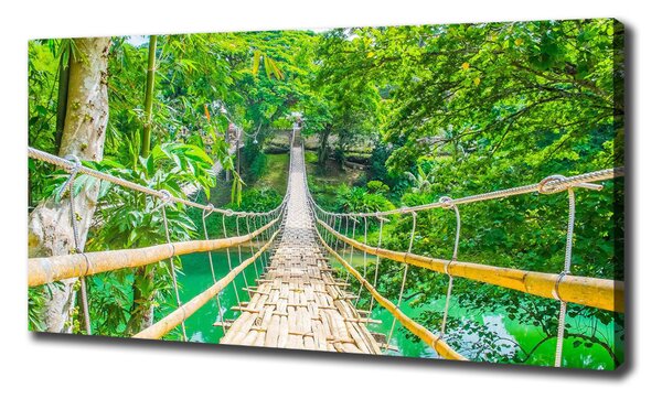 Tablou pe pânză canvas Cele mai multe pădure de bambus