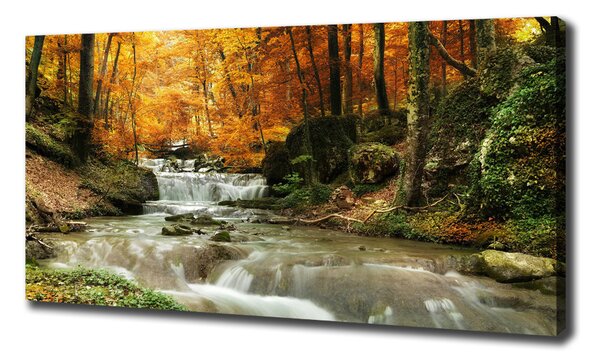 Pictură pe pânză Cascada din pădure