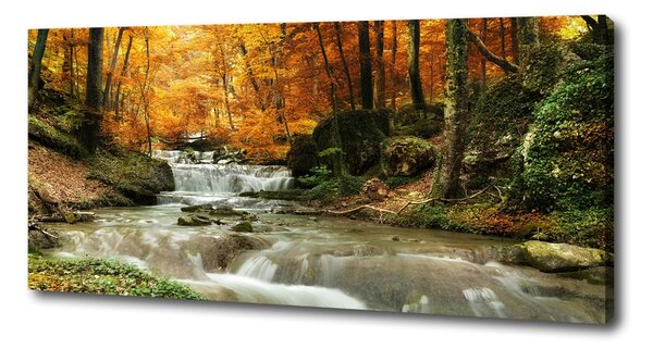 Pictură pe pânză Cascada din pădure