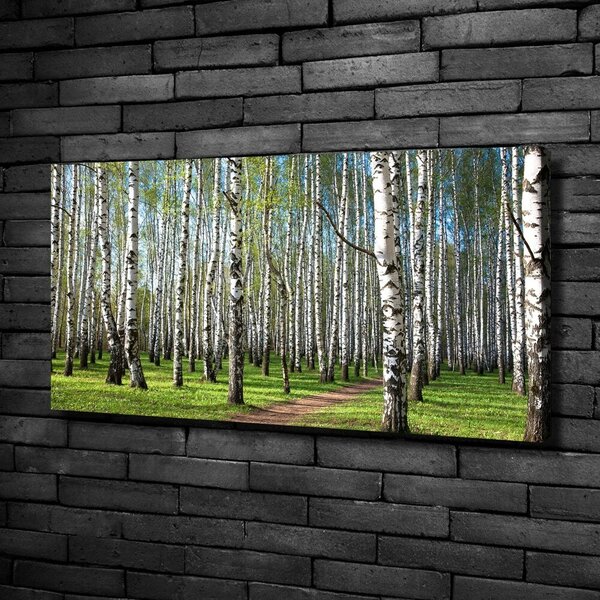 Print pe canvas pădurea de mesteacăn