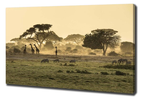 Pictură pe pânză Girafele pe savana