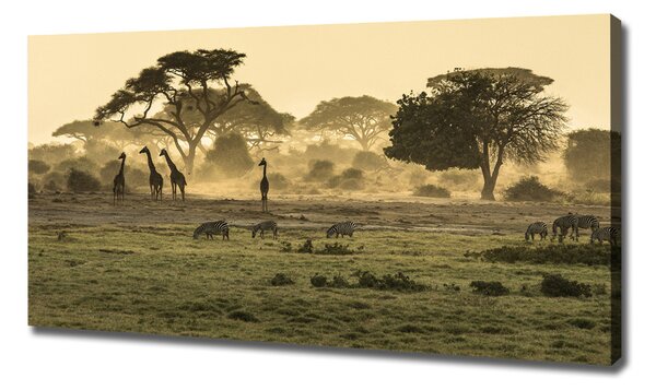 Pictură pe pânză Girafele pe savana