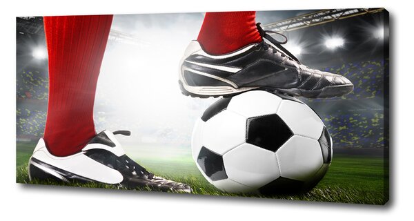 Tablou canvas picioare fotbalist