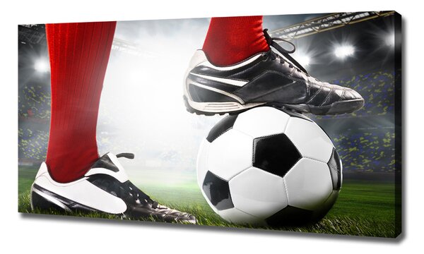 Tablou canvas picioare fotbalist