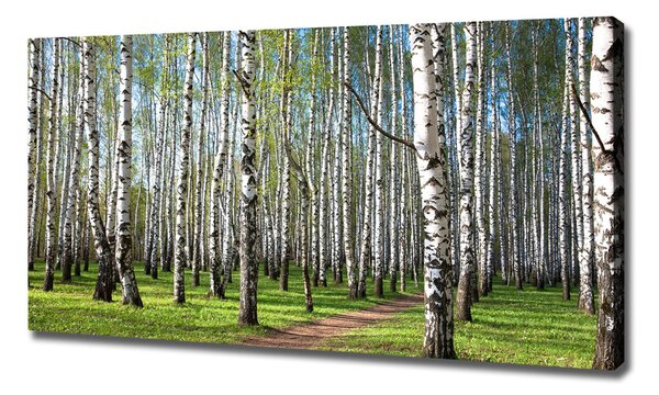 Print pe canvas pădurea de mesteacăn