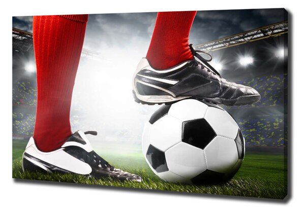 Tablou canvas picioare fotbalist