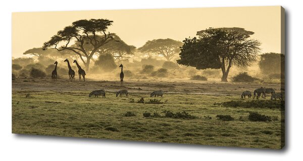 Pictură pe pânză Girafele pe savana