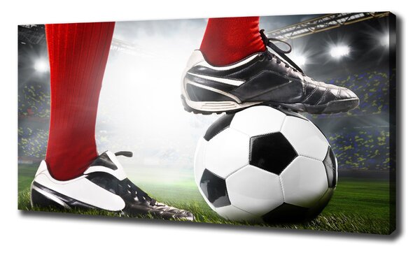 Tablou canvas picioare fotbalist