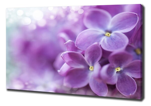 Tablou canvas flori de liliac
