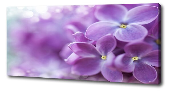 Tablou canvas flori de liliac