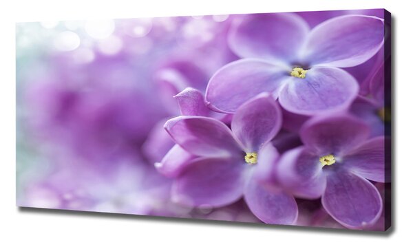 Tablou canvas flori de liliac