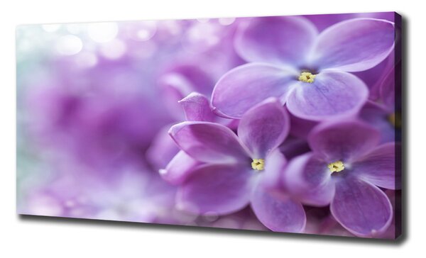 Tablou canvas flori de liliac