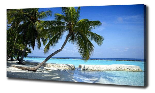 Print pe canvas plaja tropicala