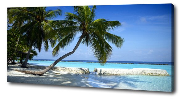 Print pe canvas plaja tropicala