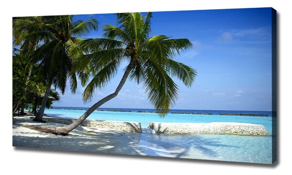 Print pe canvas plaja tropicala