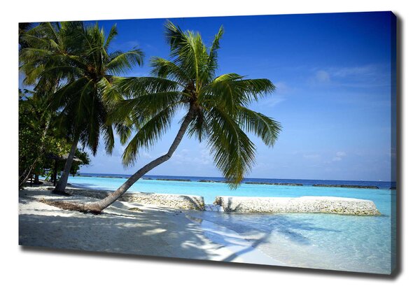 Print pe canvas plaja tropicala