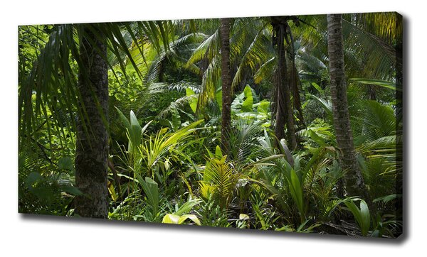 Tablou pe pânză padure tropicala