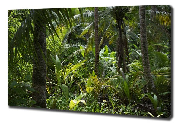 Tablou pe pânză padure tropicala