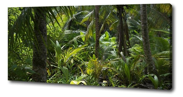 Tablou pe pânză padure tropicala
