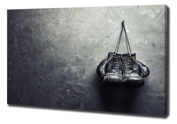 Tablou canvas Manusi de box