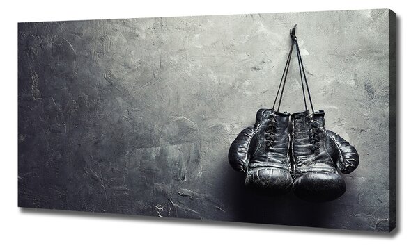 Tablou canvas Manusi de box