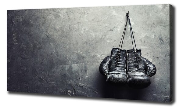 Tablou canvas Manusi de box