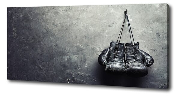 Tablou canvas Manusi de box
