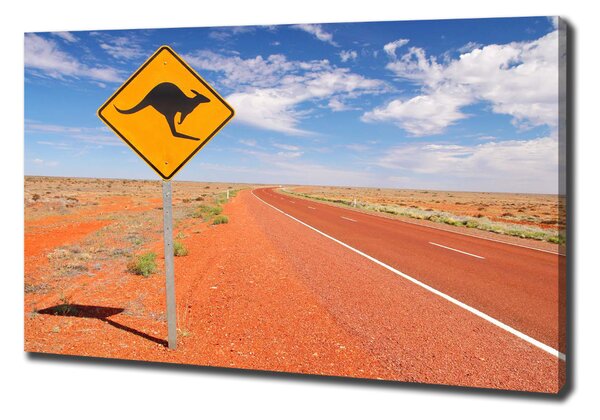 Tablou pe pânză Drumul în Australia