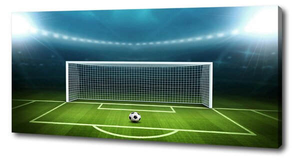 Tablou canvas stadiu