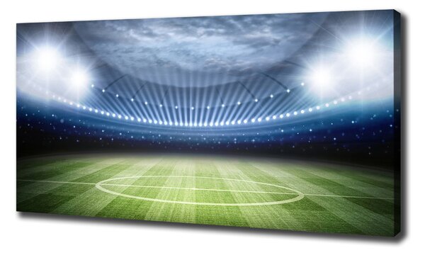 Tablouri tipărite pe pânză stadiu