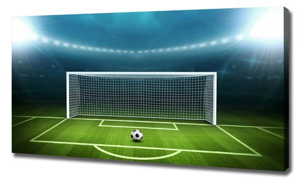 Tablou canvas stadiu