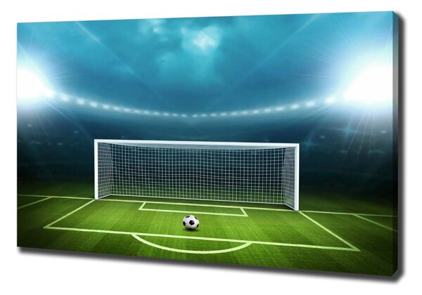 Tablou canvas stadiu