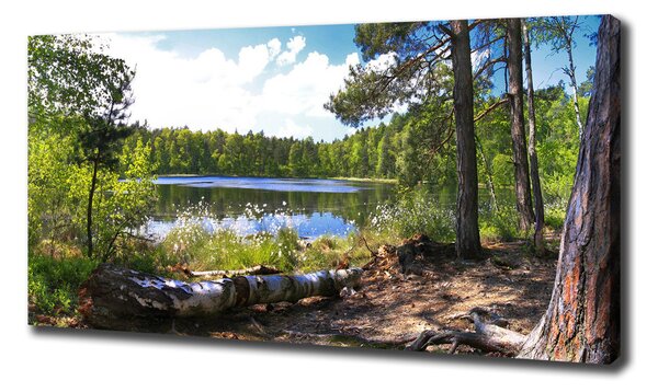 Pictură pe pânză Panorama de pădure