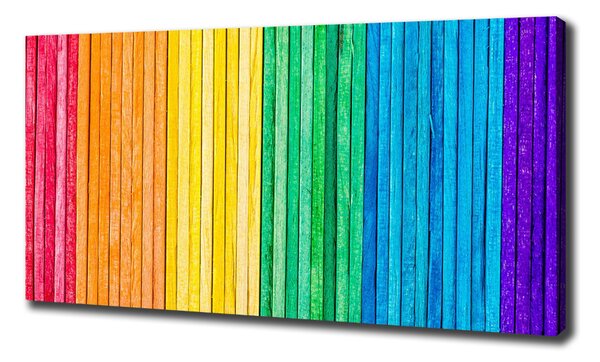 Tablou canvas dungi colorate