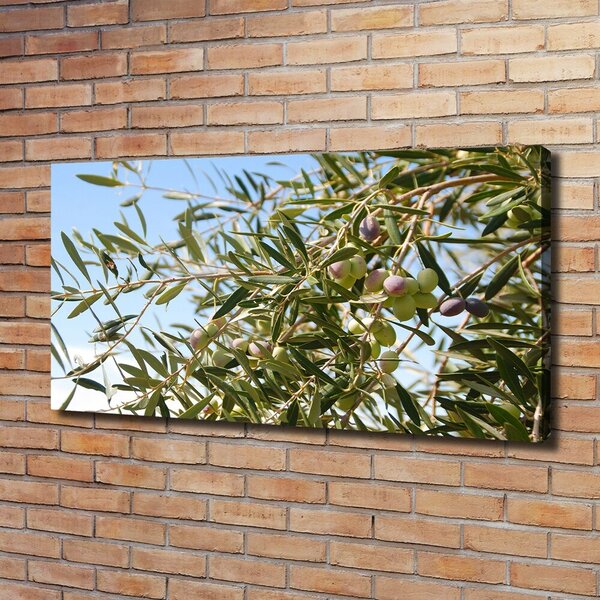 Tablou pe pânză canvas oliv