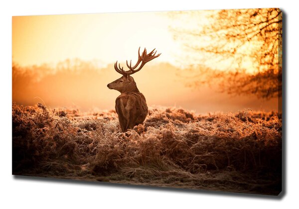 Print pe pânză Sunrise Deer