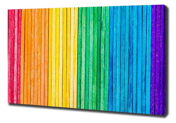 Tablou canvas dungi colorate